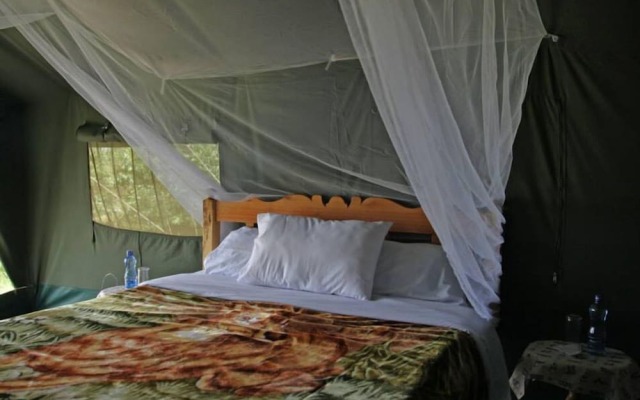 Fisi Camp