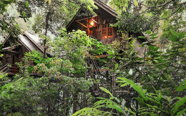 Permai Rainforest Resort