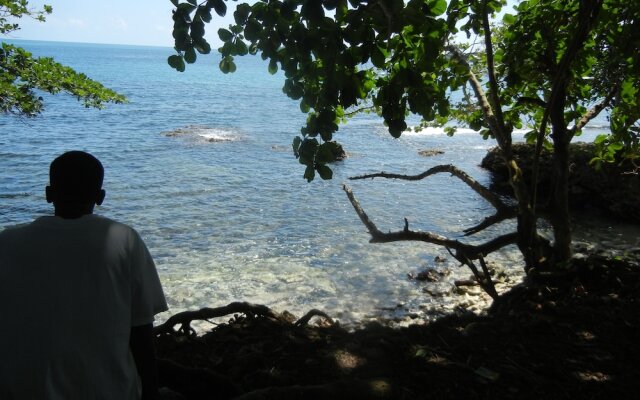 Samasati Yoga & Wellness Retreat