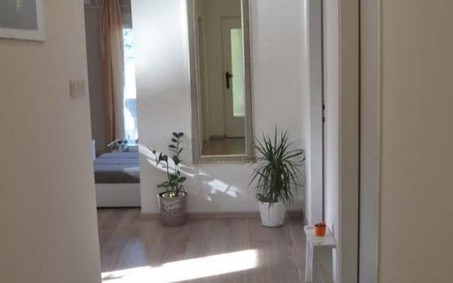 Apartments Gavacic
