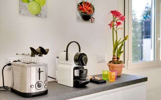 Luxury, Large Flat With Terrace on Vatican Walls