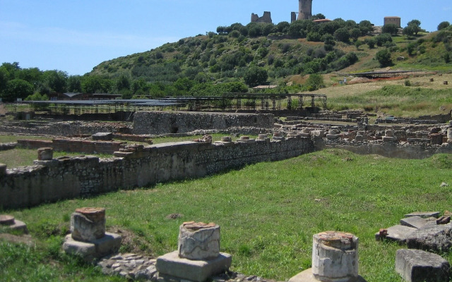 I Fiori Di Donna Ester