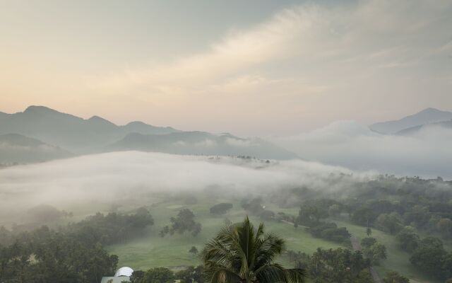 The Albatross, Kandy