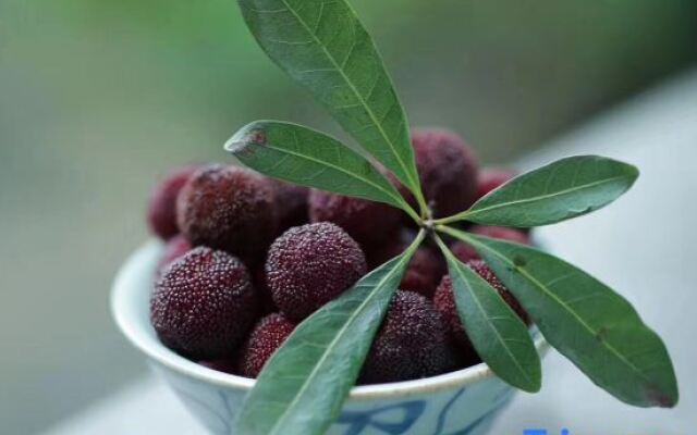 Yizhaiyisheng Guesthouse