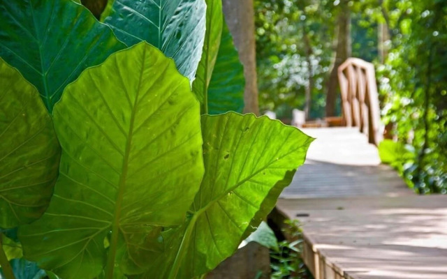 Tierra Guarani Lodge de Selva