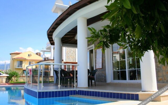 Dream of Holiday Calis