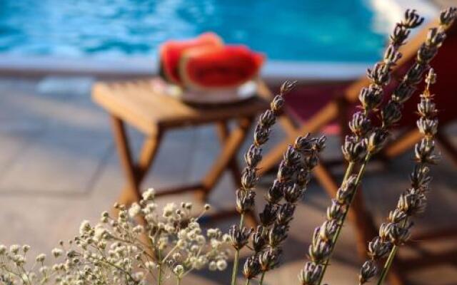 Camp 'Dvor' bell tent accommodation