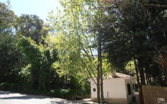 Alojamientos Rurales Sierra de Grazalema