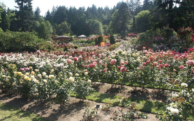 Hampton Inn Portland East