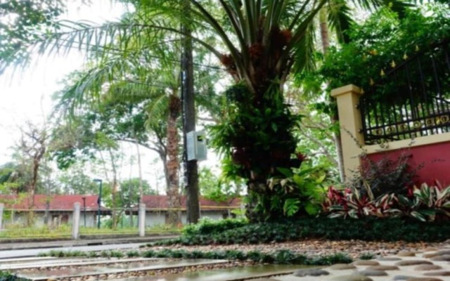 P.P. Palm Mansion