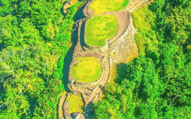 Tree of Life - Hostel