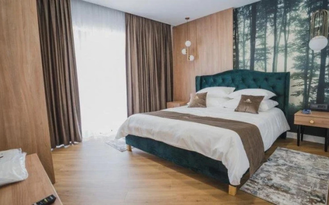 . Panoramic Colibita