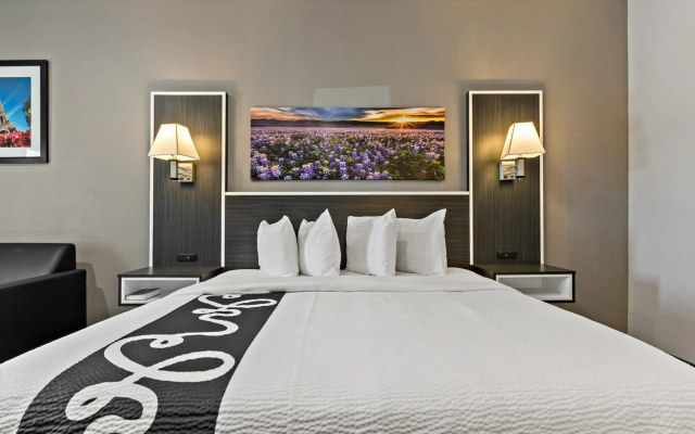 Paris Inn & Suites
