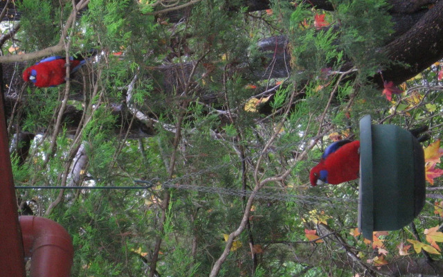 Bowral Road Bed and Breakfast