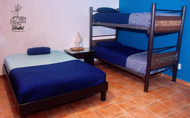 Venado 8 - Hotel in Канкун - Photo 5