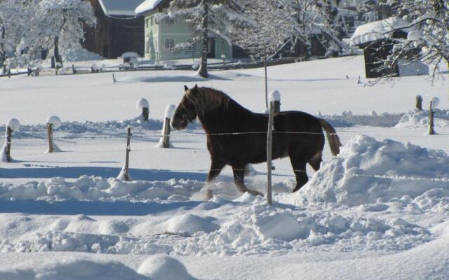 gosaukammcom appartements