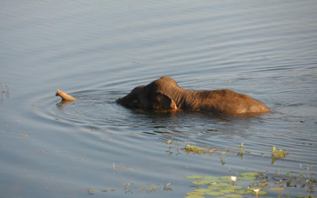 Sigiri Lake Paradise