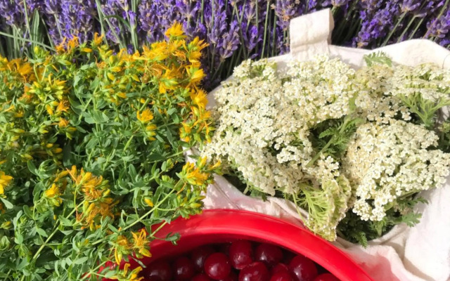 LOFT-Beach-apartments RATKO