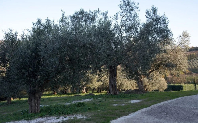 Villa ai TRE Ulivi