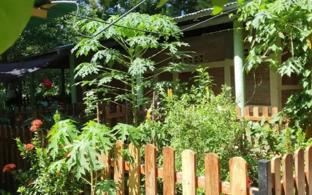 B&B, Hospedaje La Penita