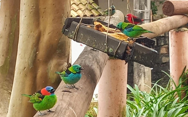 Suites Brilho do Sol