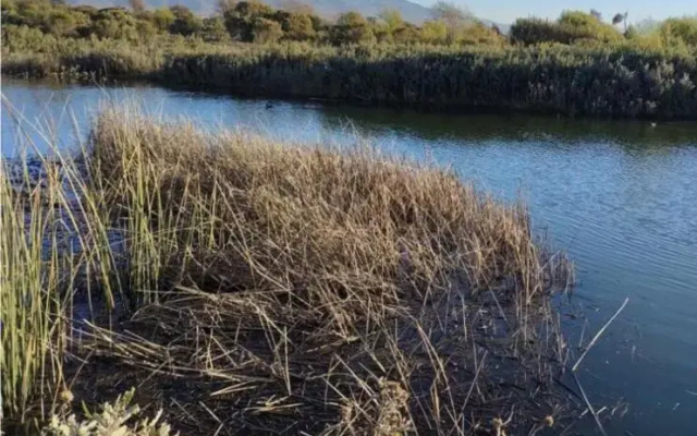 Oportunidad! Depto Nuevo con vistas al río y mar!