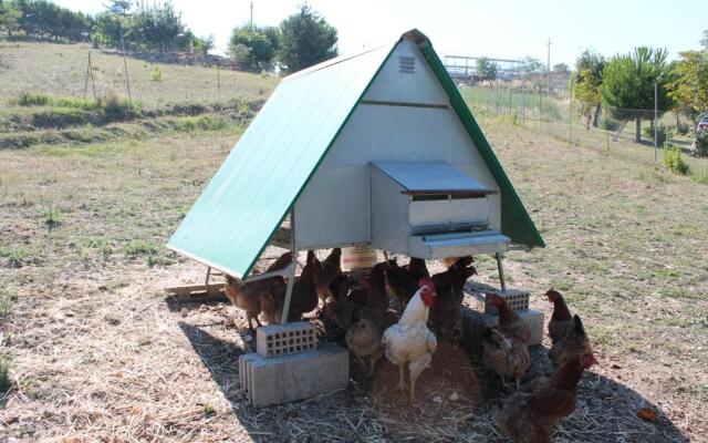 Bio Agriturismo Mare in Campagna