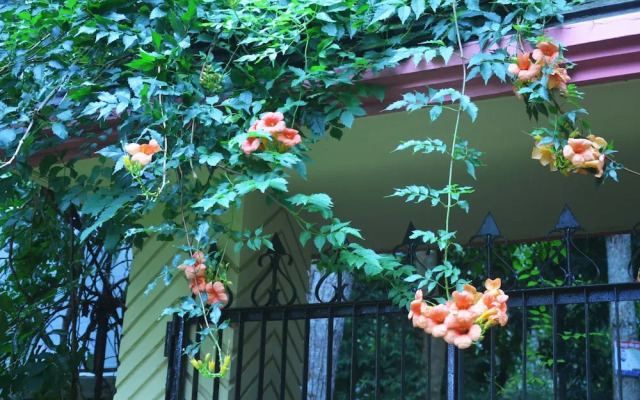 Lawachara Eco Cottage