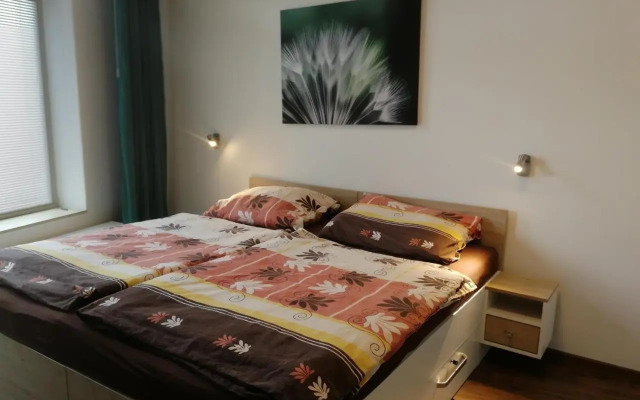 Rodinný Apartmán Harrachov 606