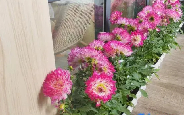 Liuyun Shuizhai Smart Homestay (Jizu Mountain)