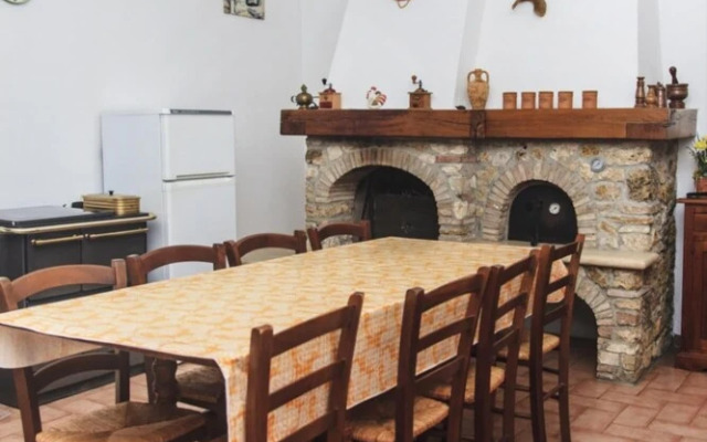 Ulivo in Maltraverso