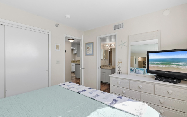 Sand Dollar 1105