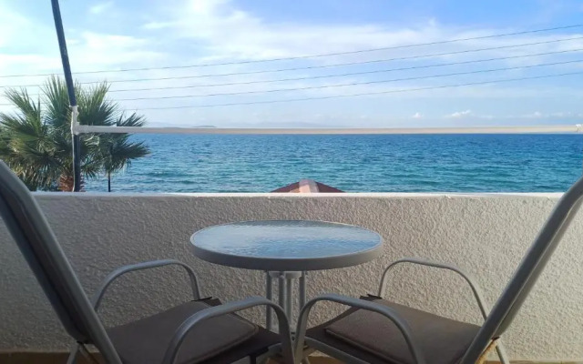 Hotel Beach Amaryllis