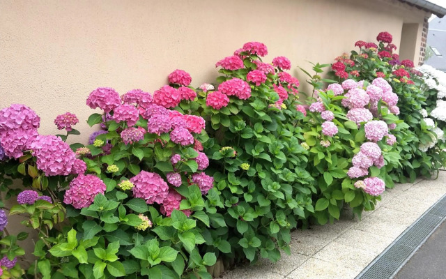 Auberge du Cheval Blanc