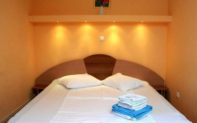 Pension Andronic