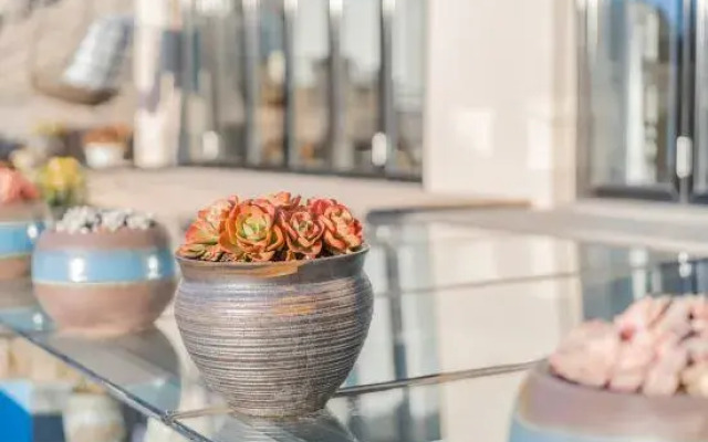 Dali Junbo Tea Yun Theme Seaview Homestay