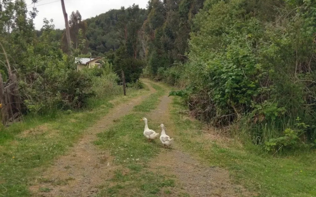 Ecoturismo Los Manzanos