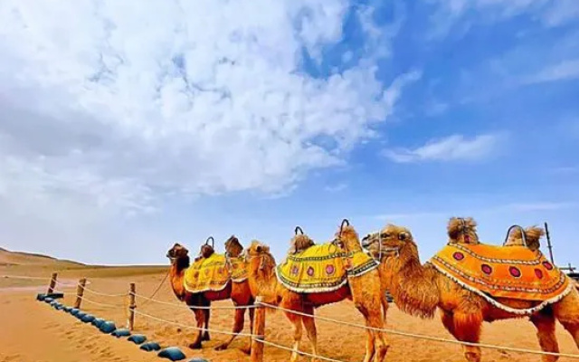 Star Wish Lake Desert Camping Site – Entertainment – Zhongwei