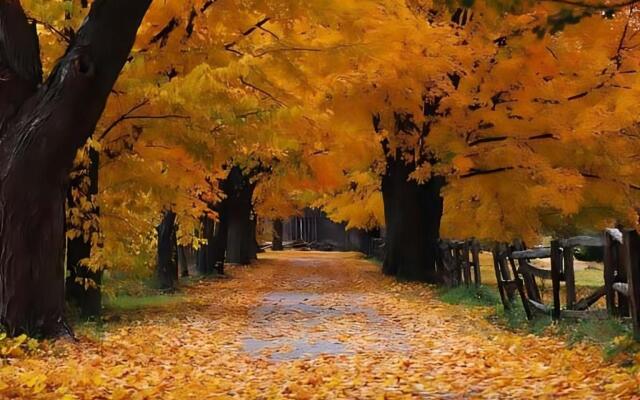 Nevado Premium Penthouse