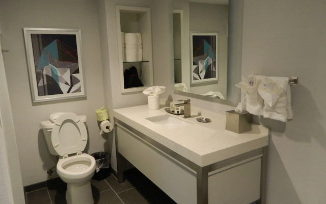 Hotel Indigo Harrisburg - Hershey by IHG