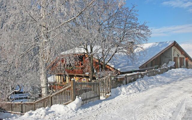 Superb Savoyard traditional chalet located 500 m from the slopes