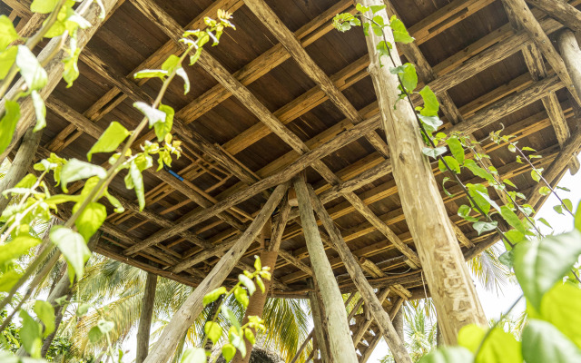 The Nest Boutique Resort