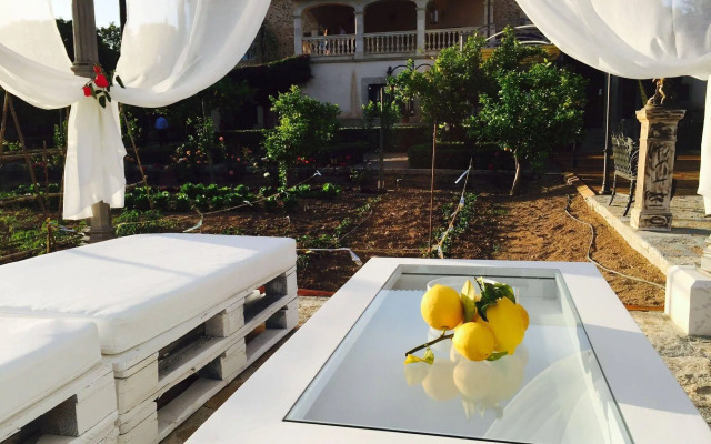 Sa Vinya des Convent Agroturismo