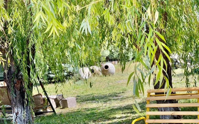 Parvana Odjax