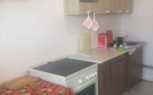 Guest house on Fruktovaya 317