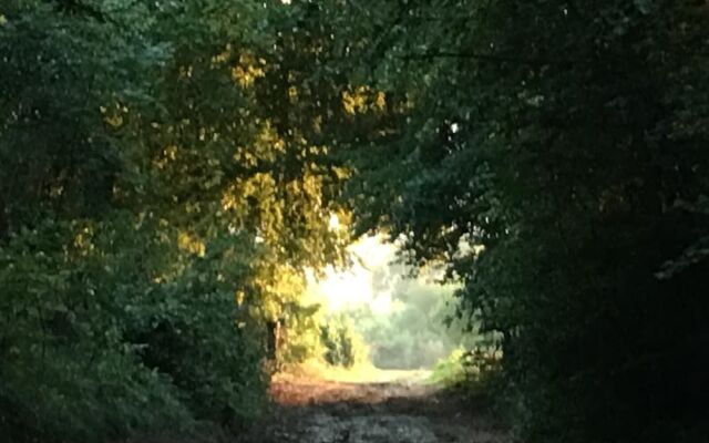 Domaine St Germer