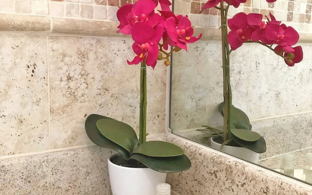 Hotel Sand's San Luis Potosí