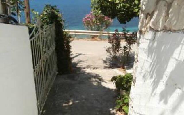 Villa Delfini
