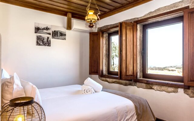 Studio in Armamar, With Shared Pool, Furnished Terrace and Wifi