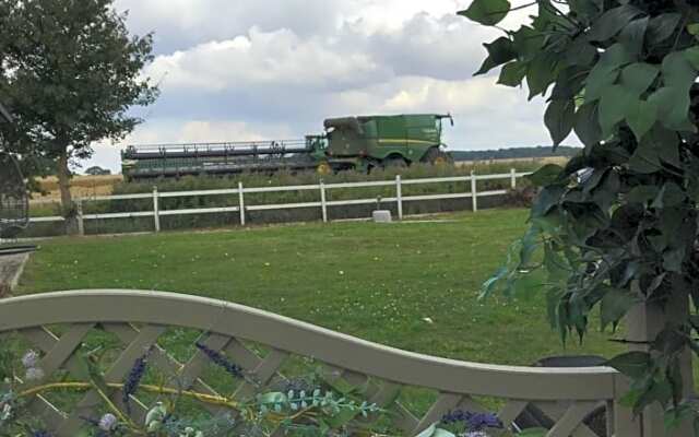 Old Thatch Bambers Green